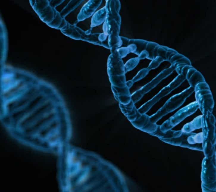 Schematische Darstellung einer DNS-Doppelhelix