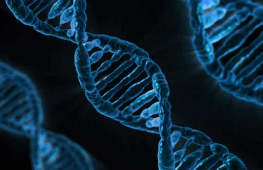 DNA-Doppelhelix