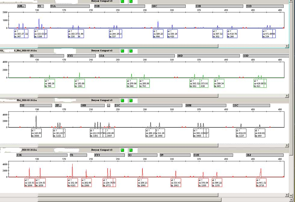 Schnelltest PCR Polymerase-Kettenreaktion)